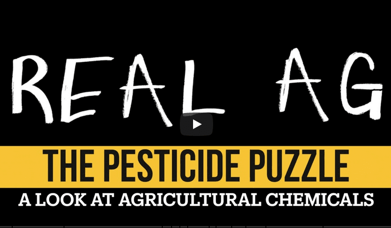 Real Ag's the Pesticide Puzzle