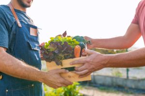 a farmer hands a consumer a wooden box of produce