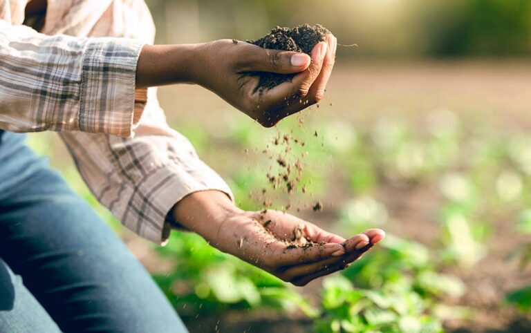 farming with hands in soil
