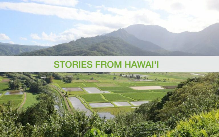 Hawaii stories series