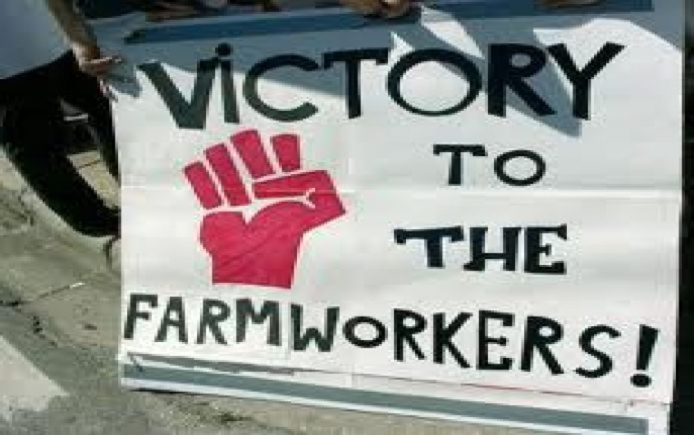 FarmworkerVictory