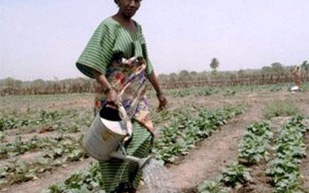 africa-farmer-woman-watering
