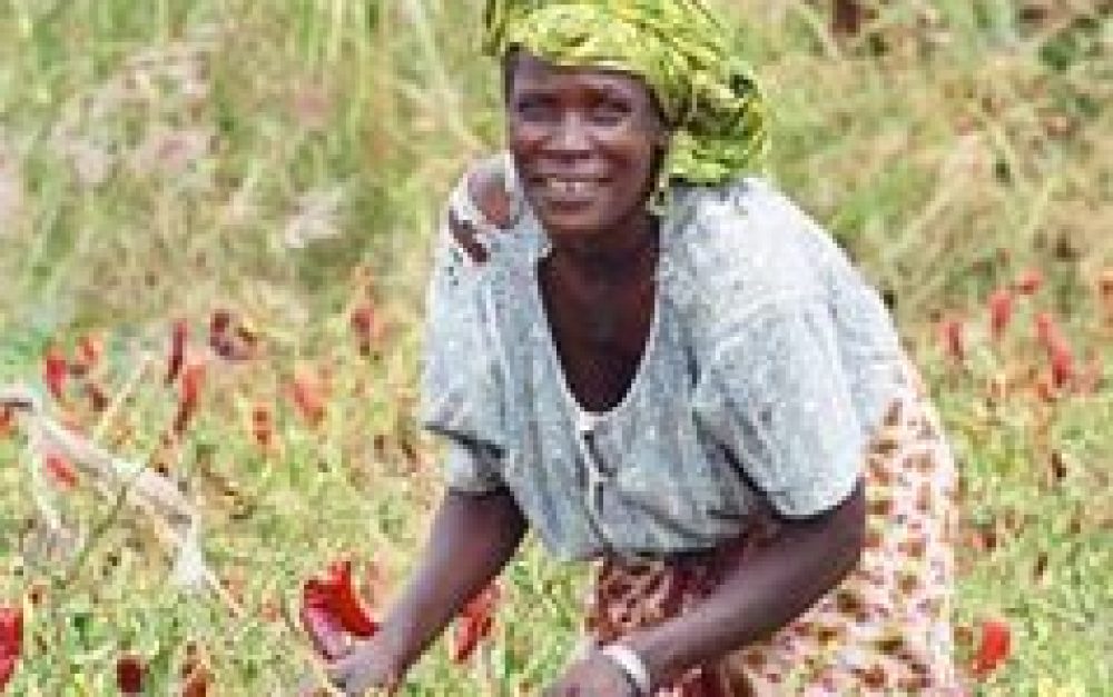african-woman-farming