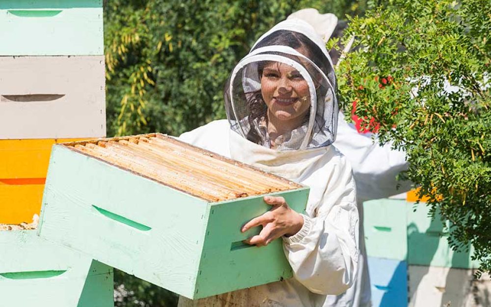 beekeeper-president