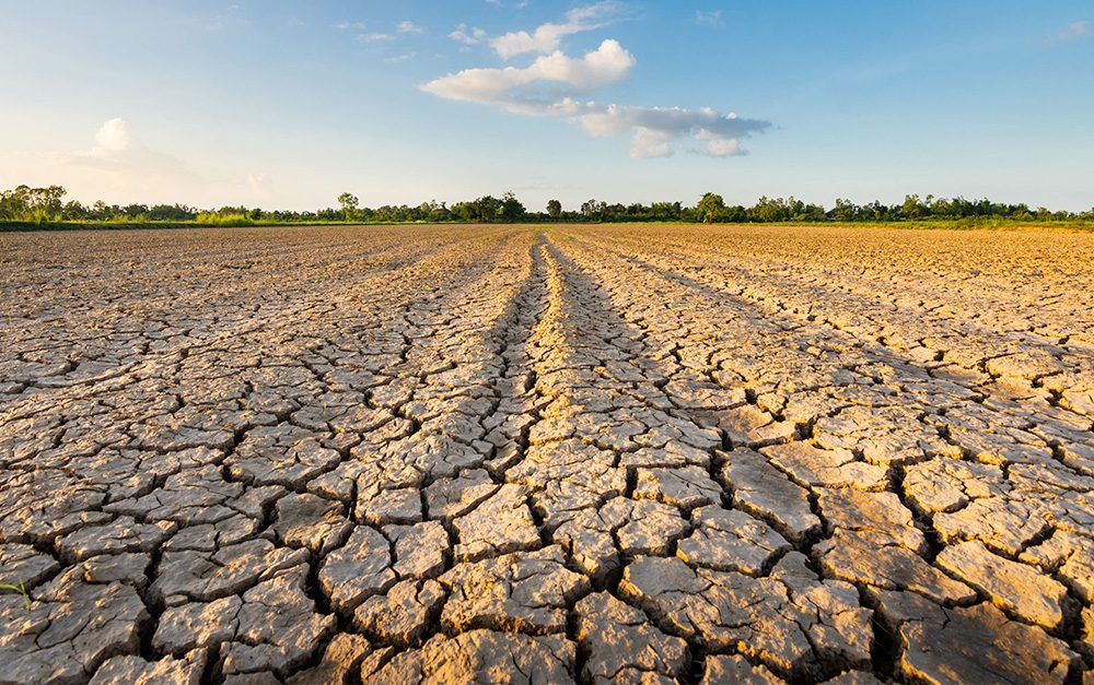 dry farm climate change