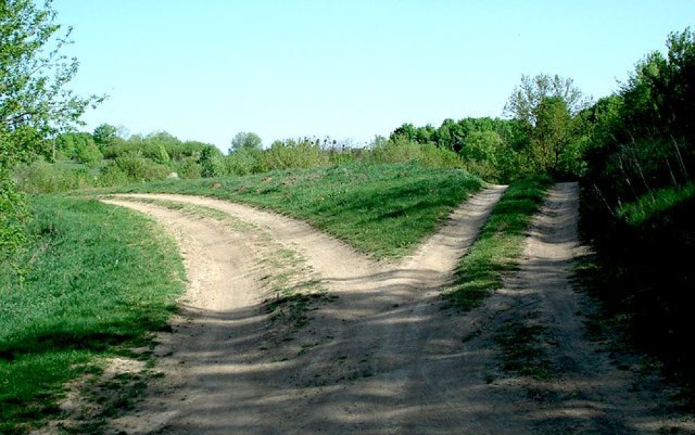 farm-track-crossroads
