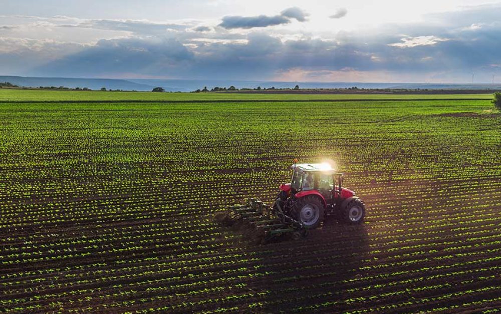 farm-tractor-row-field