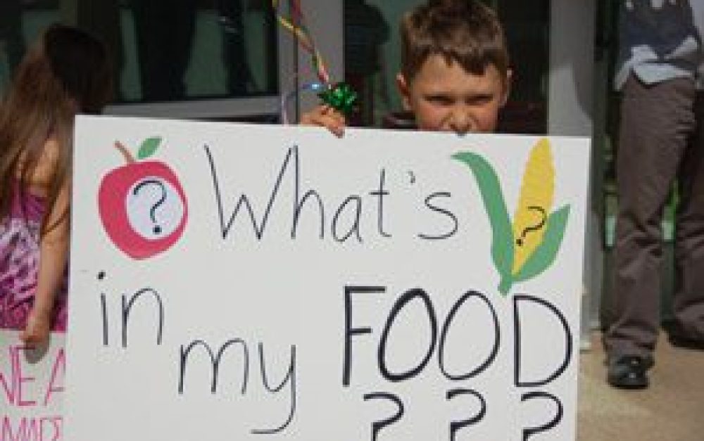 gmo-protest-whats-in-food