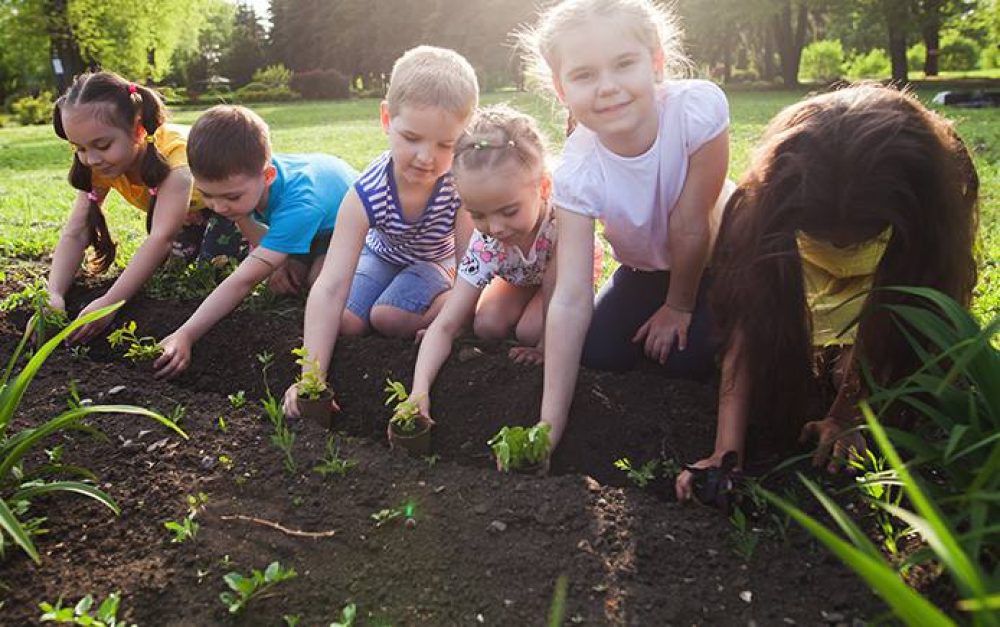kids-planting
