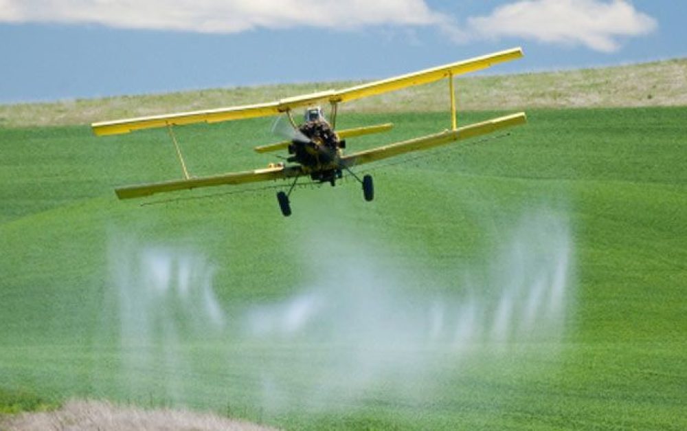 lead-image-cropduster