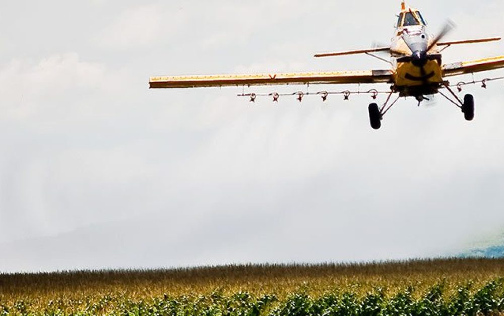 lead-image-cropduster2