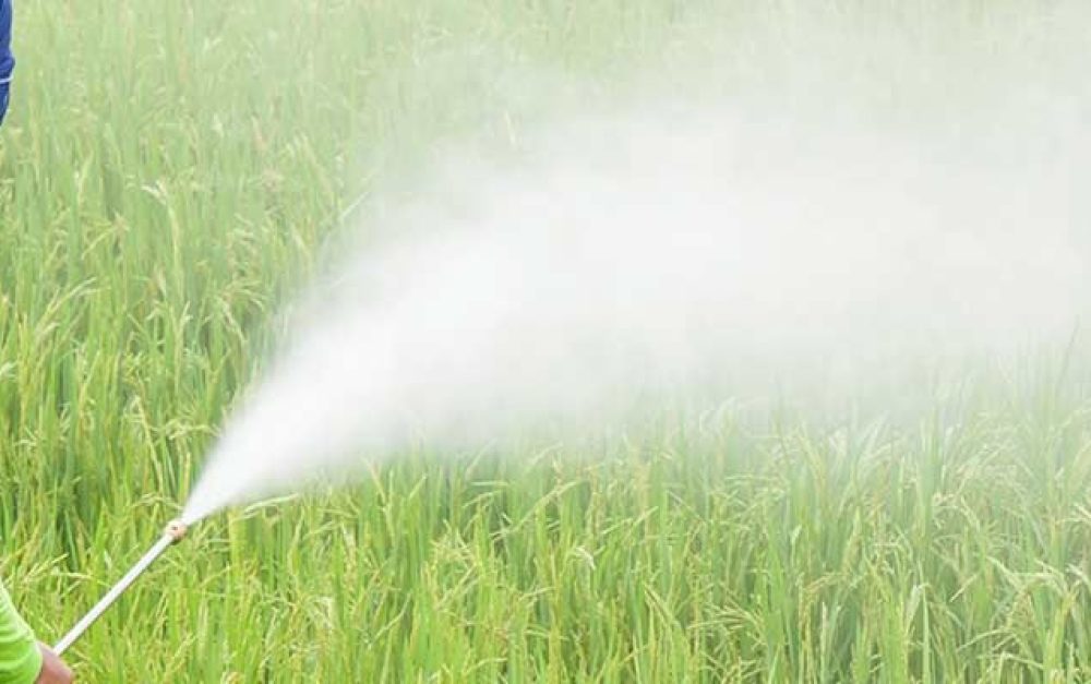 lead-image-man-spray-pesticide