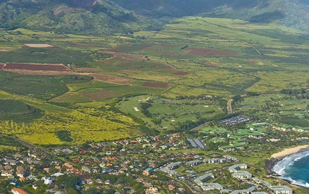 GE Fields & Pesticides in Hawai’i