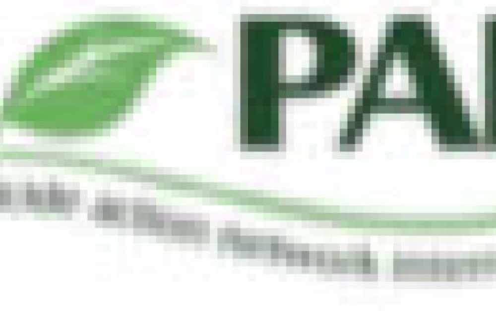 pan-intl-logo