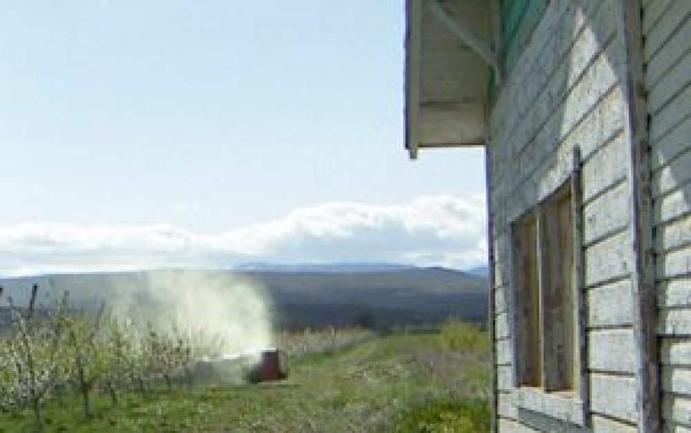 pesticide-spray-house2