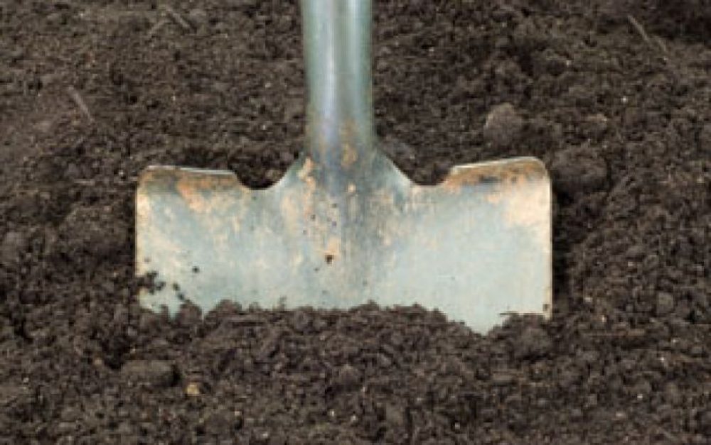 shovel-soil-1
